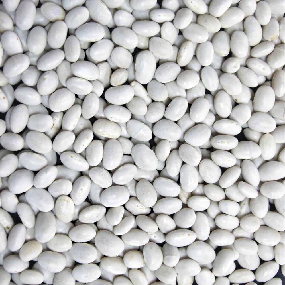 Product gallery 2876990