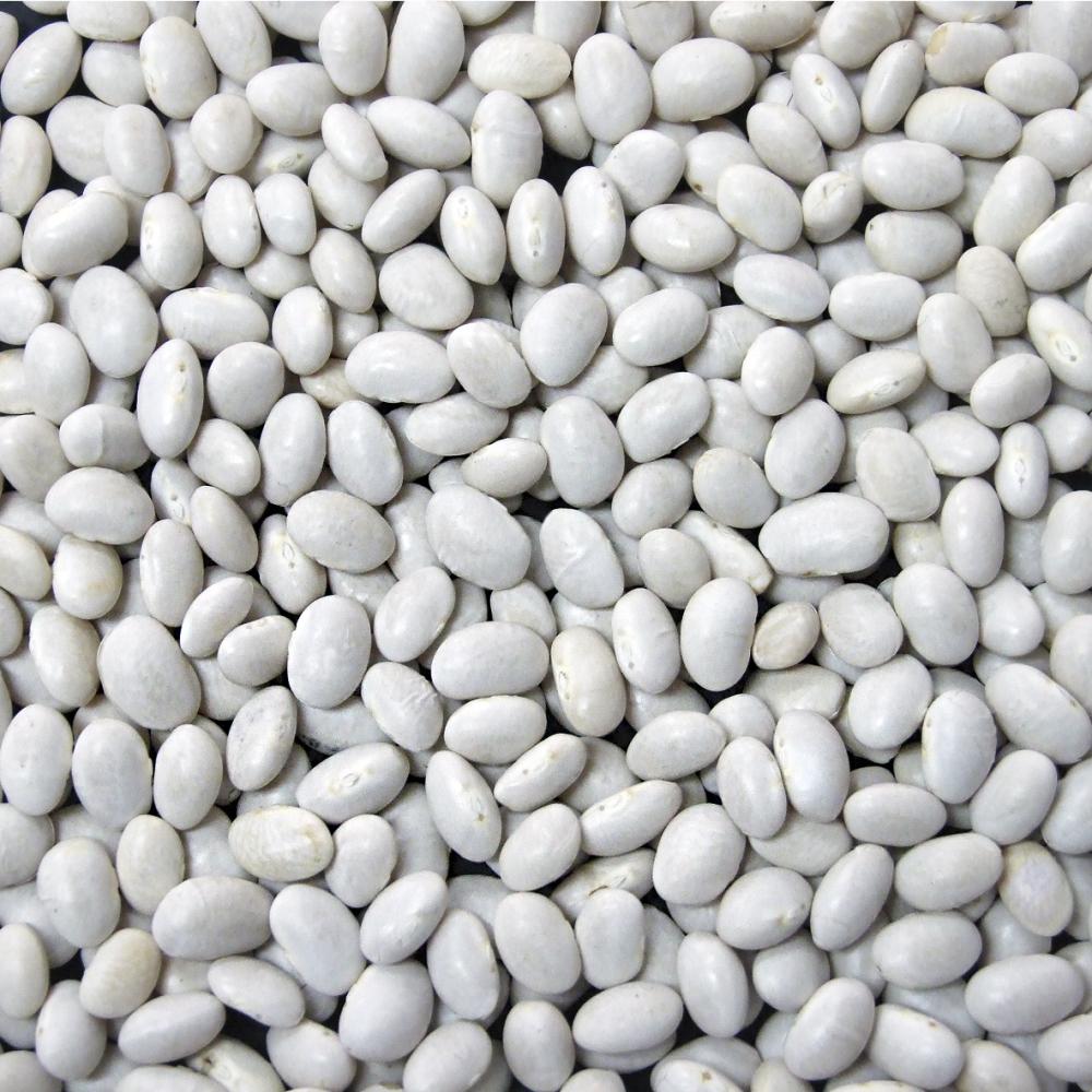 Product gallery 2905728