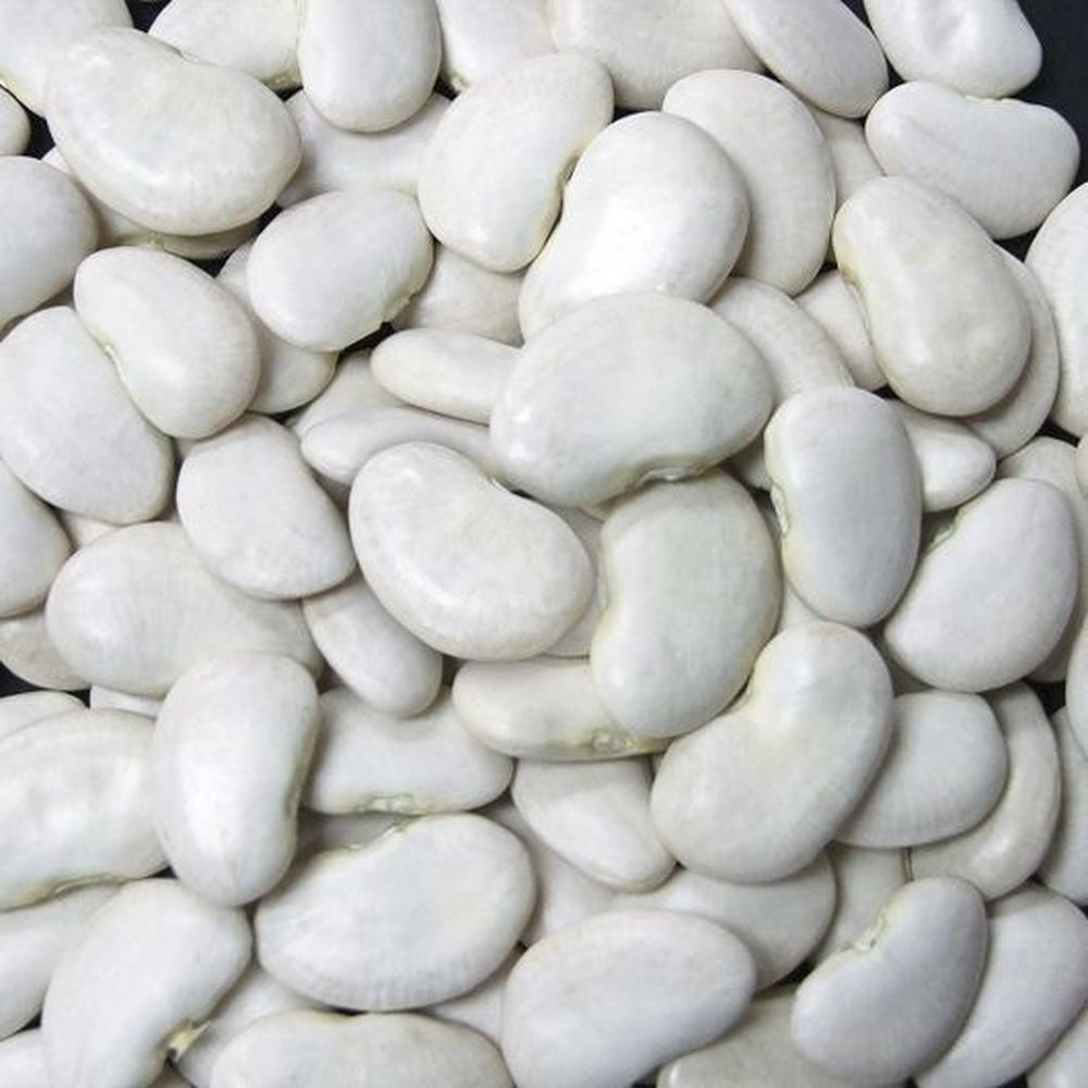 Jack Rabbit Large Lima Beans, 25 Pound