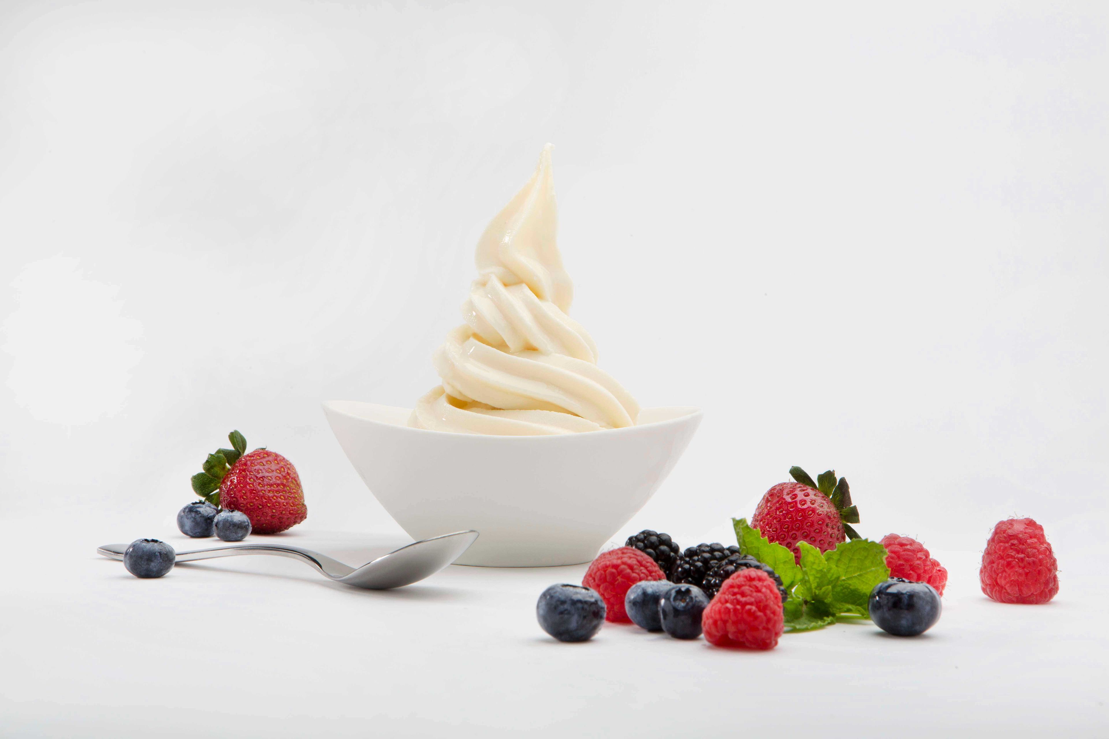 Frostline Non Dairy Vanilla Soft Serve Mix, 6 Pound -- 6 Per Case