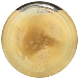 Product thumb gallery 4529446