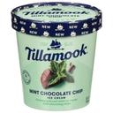 Tillamook Mint Chocolate Chip Ice Cream, 16 Fluid Ounce -- 8 per case
