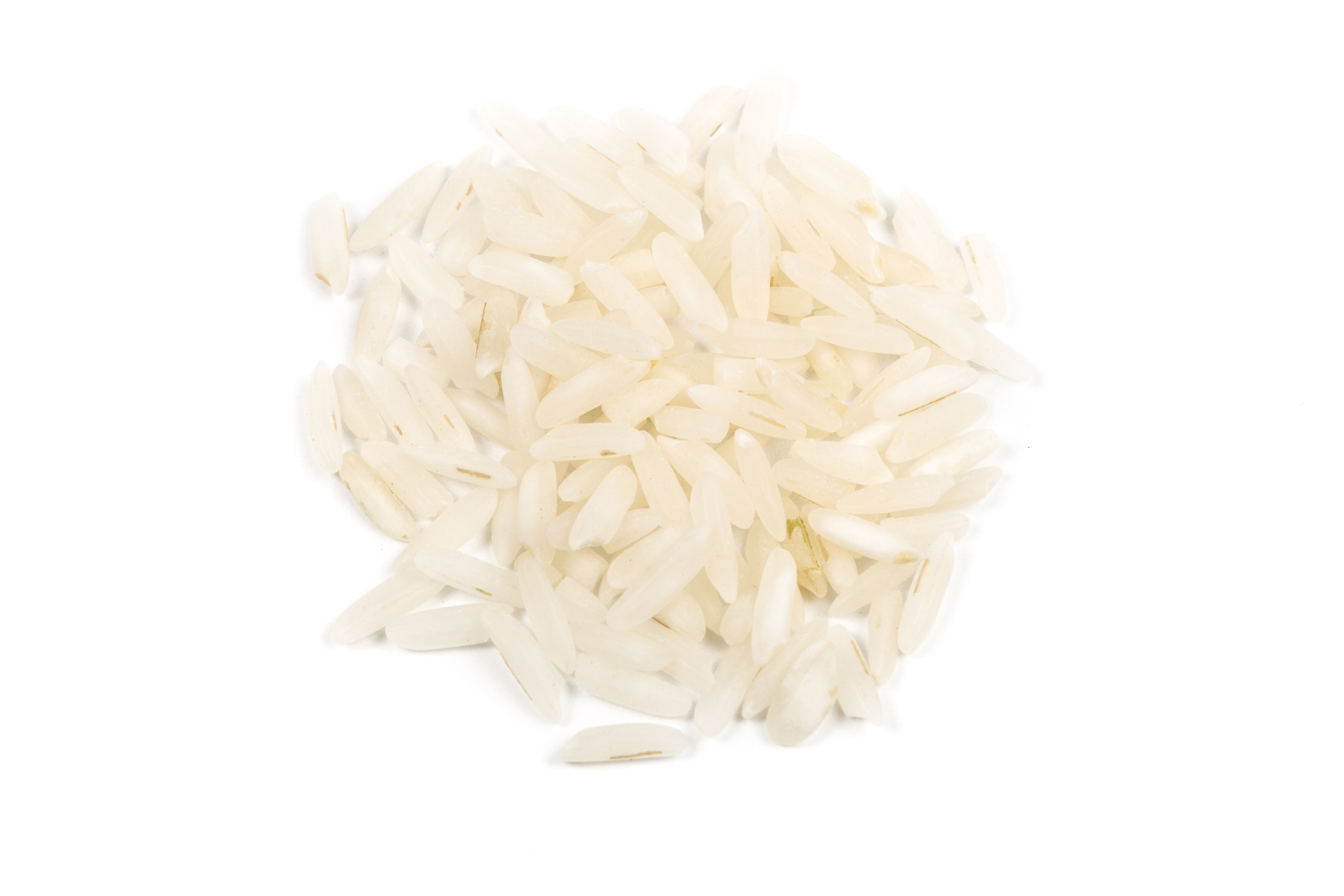 Lundberg Organic American White Jasmine Rice, 25 Pound.