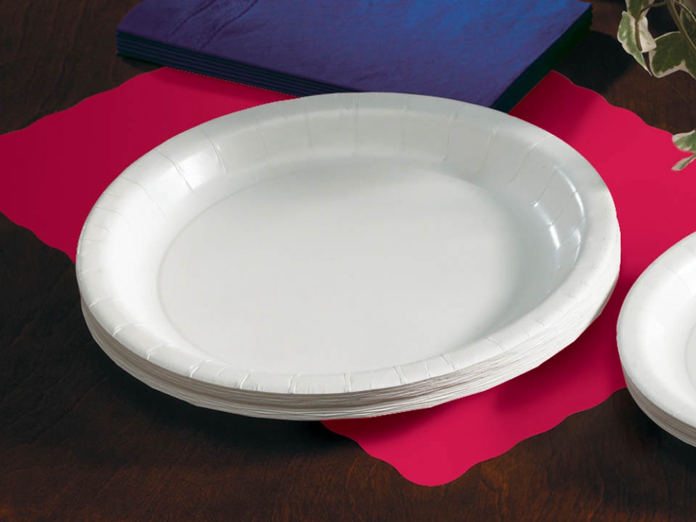 Hoffmaster White Coated Paper Plate, 9 Inch -- 500 Per Case