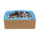 Sea Best 3 to 4 Ounce Cold Water Lobster Tail, 10 Pound