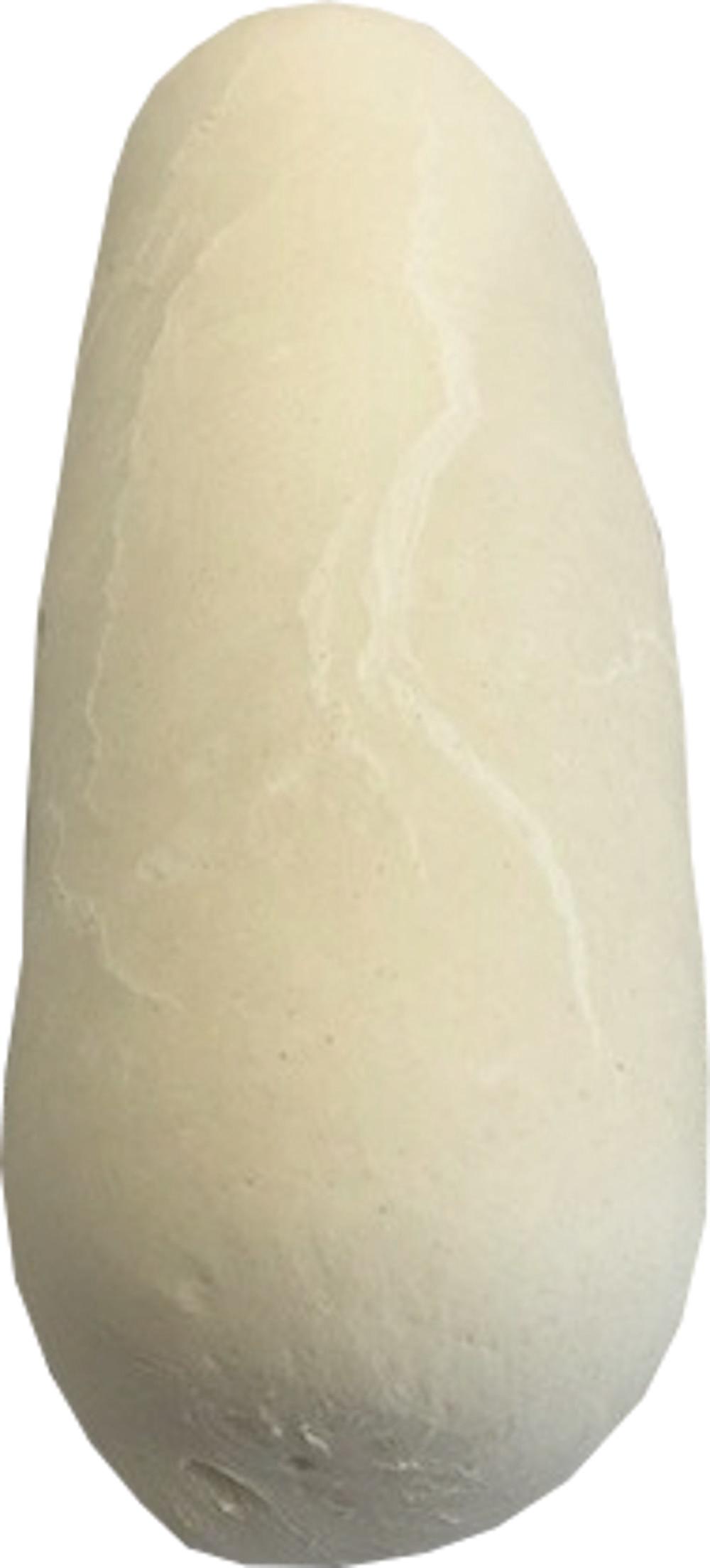 Product gallery 449538649