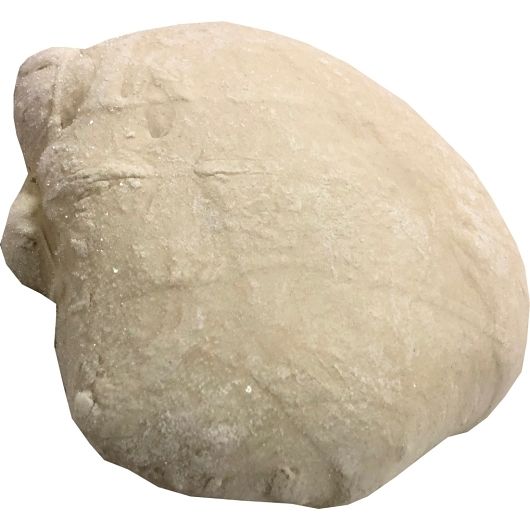 Product gallery 807691008