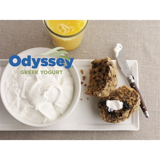 Odyssey 0 Percent Vanilla Greek Yogurt, 45 Pound
