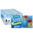 Capri Sun Roarin Waters Strawberry Kiwi Flavored Beverage, 6 Fluid Ounce - 10 per pack -- 4 packs per case.