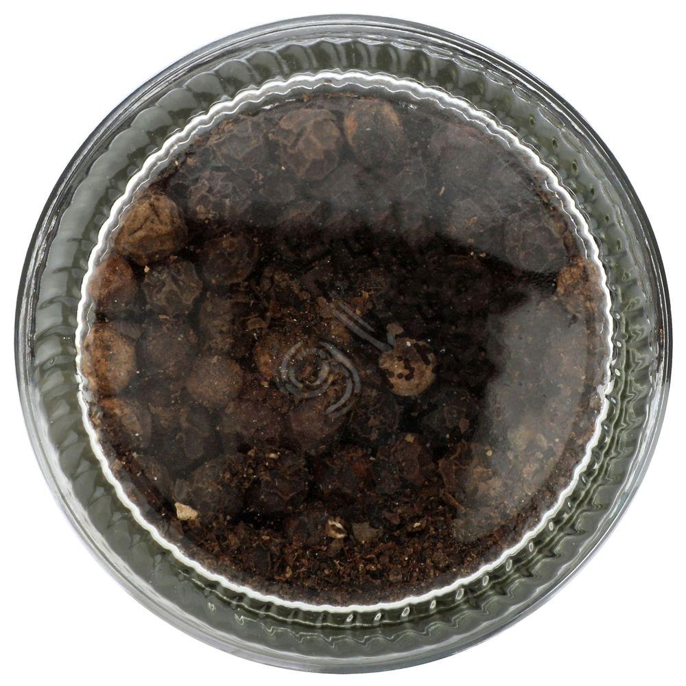 Product gallery 4581679