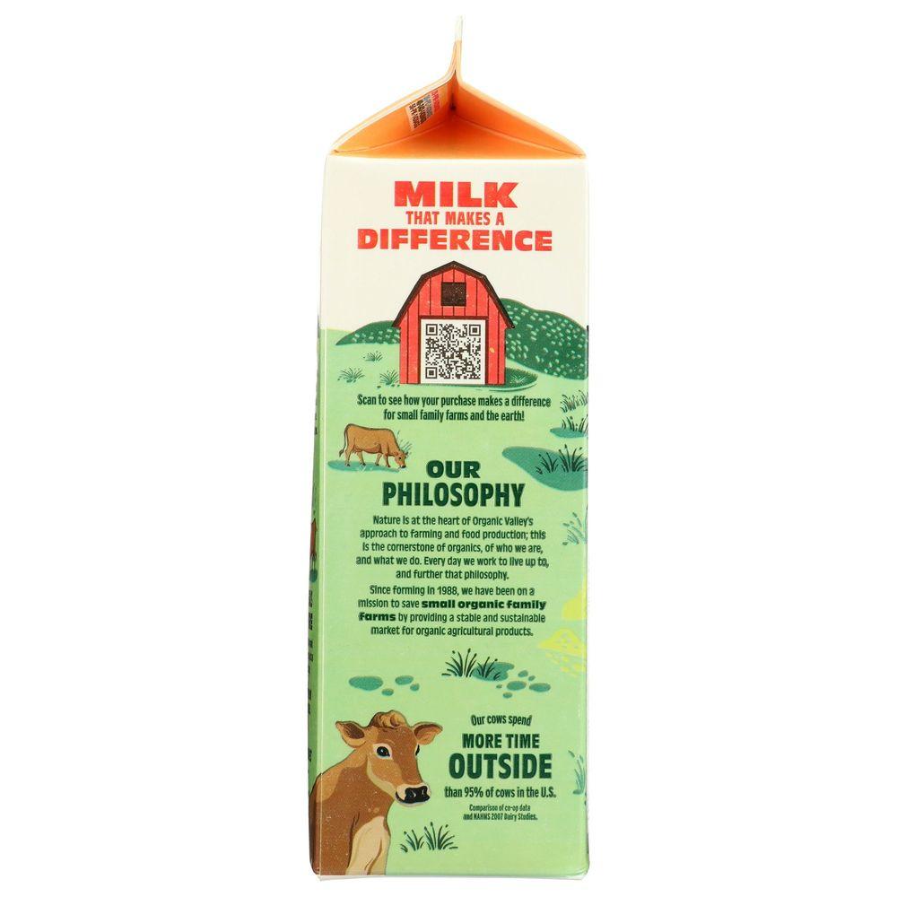 Product gallery 4516969