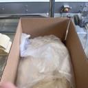 Ultra Thin Pizza Shells Light Par Baked Various Sized Dough Strips, 20 Pound