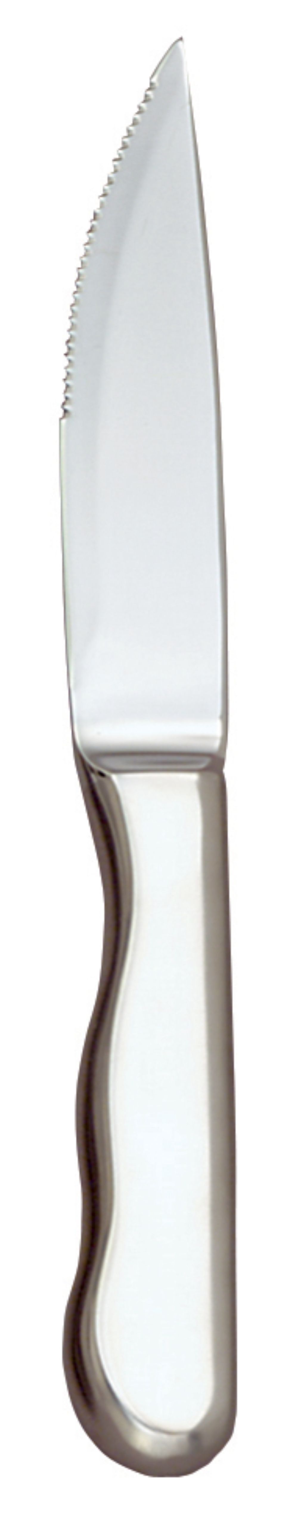 World Tableware Baron Radiant Steak Knife, 10 1/4 Inch Length -- 12 Per Case