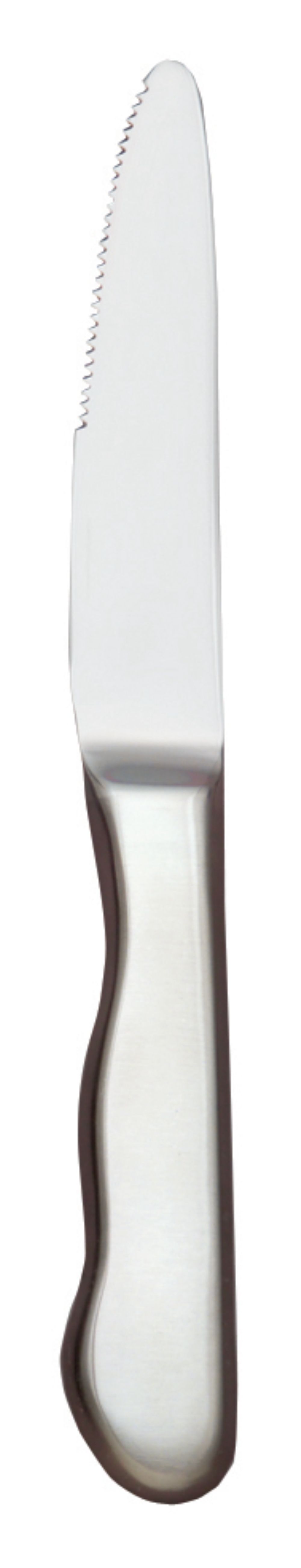 World Tableware Baron Radiant Stainless Steel Steak Knife, 10 1/4 Inch -- 12 Per Case