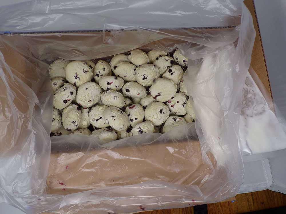 Product gallery 1824722