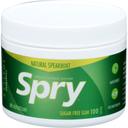 Spry Spearmint Chewing Gum - 100 per pack.