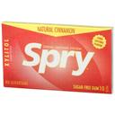 Spry Cinnamon Chewing Gum - 10 per pack -- 20 packs per case.