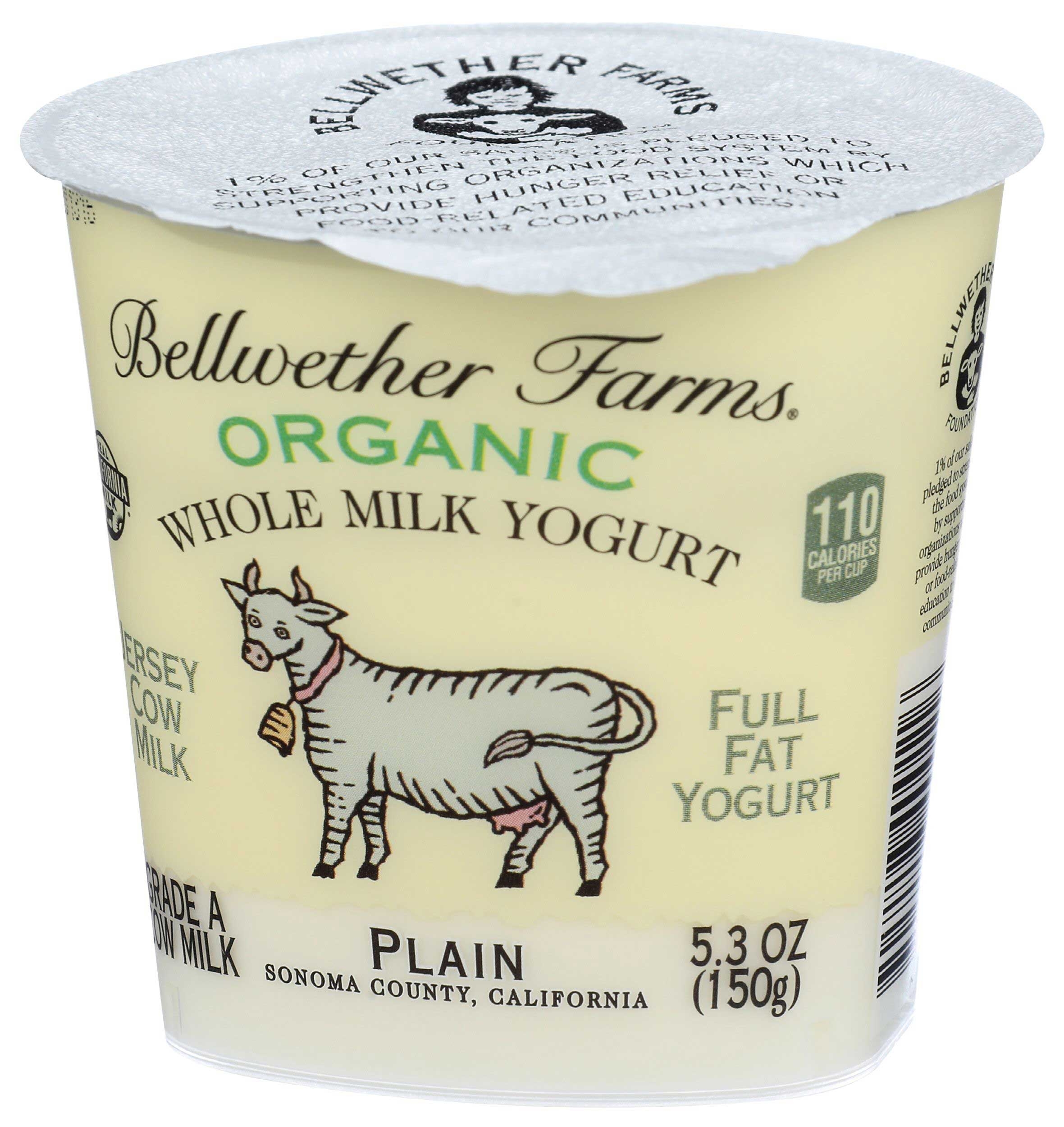 Bellwether Farms Organic Plain Whole Milk Yogurt, 5.3 Ounce -- 12 per case