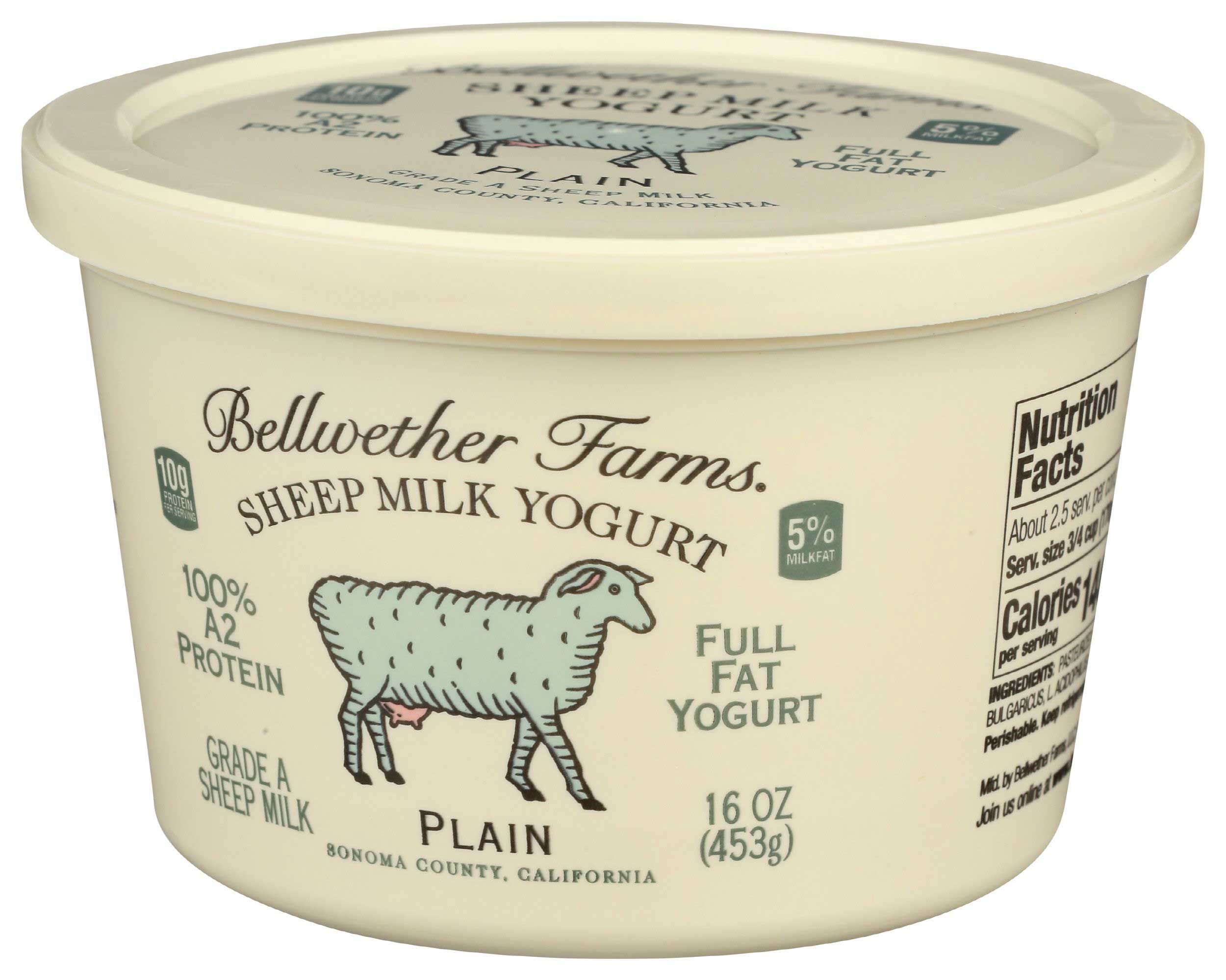 Bellwether Farms Plain Sheep Milk Yogurt, 16 Ounce -- 6 Per Case