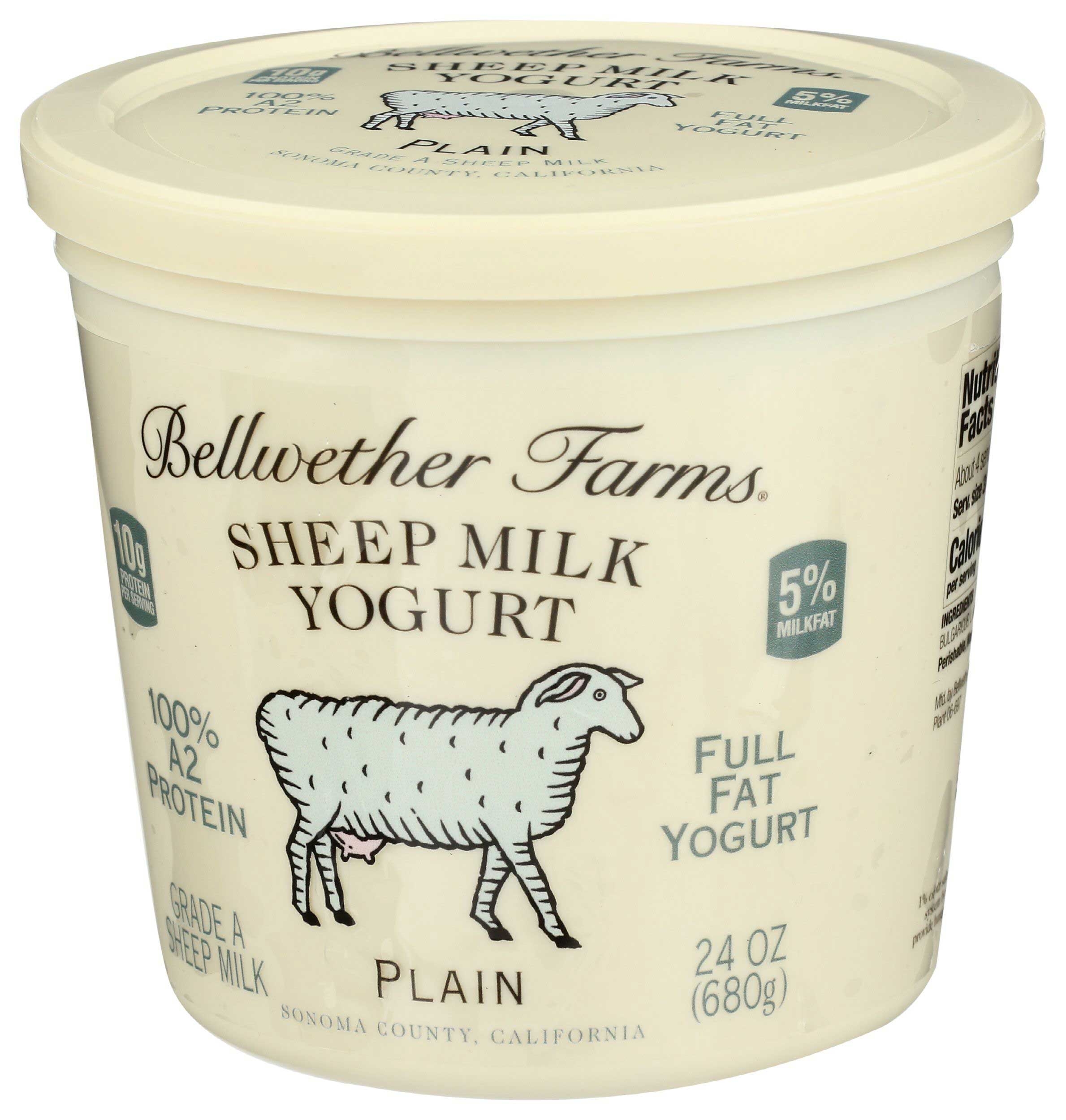 Bellwether Farms Plain Sheep Milk Yogurt, 24 Ounce -- 6 per case