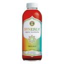 Gts Synergy Trilogy Kombucha, 16 Fluid Ounce -- 6 per case