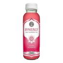 Gts Synergy Organic Guava Goddess Kombucha, 10 Fluid Ounce -- 12 per case