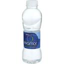 Evamor Artesian Spring Water, 20 Fluid Ounce -- 24 per case