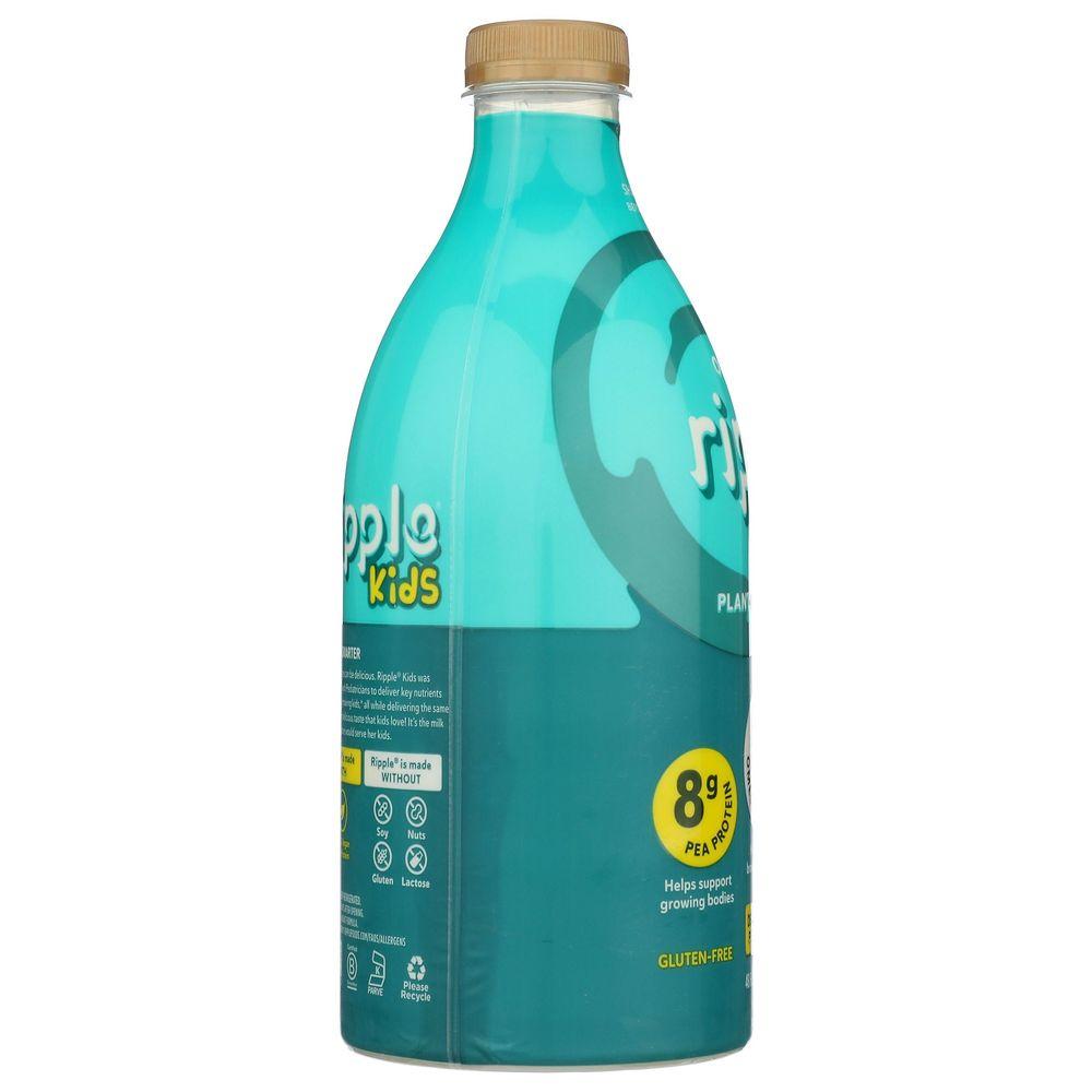 Product gallery 4518718