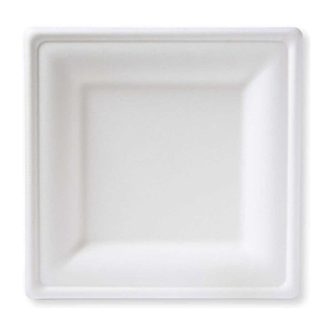 Responsible Products No-pfas Added Square Compostable Molded Fiber Plate, 10 Inch -- 250 Per Case
