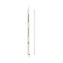 Responsible Products Individual Wrapped Compostable Straight Drinking Straws, 7.75 inch -- 1000 per case