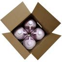 G.S. Gelato Soft Serve Dreamy Creamy Vanilla -- 4 per case