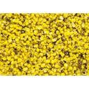 Sevillo Fine Foods Fire Grilled Corn, 20 Pound