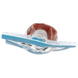 Product thumb gallery 4553848