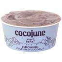 Cocojune Organic Mixed Berry Cultured Coconut Yogurt, 4 Ounce -- 12 per case