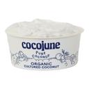 Cocojune Organic Pure Cultured Coconut Yogurt, 4 Ounce -- 12 per case