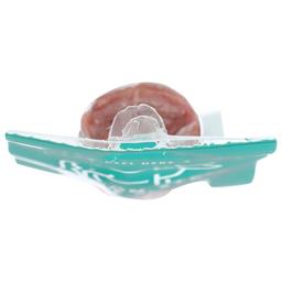 Product thumb gallery 4629067