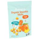 Amara Organic Mango Carrots Smoothie Melts, 1 Ounce -- 6 per case