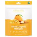 Earthside Farms Dried Organic Mangoes, 2.8 Ounce - 6 per case