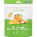 Earthside Farms Citrus Splash Dried Organic Mangoes, 2.8 Ounce - 6 per case