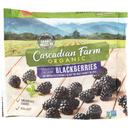 Cascadian Farm Organic Blackberry, 10 Ounce -- 12 per case.