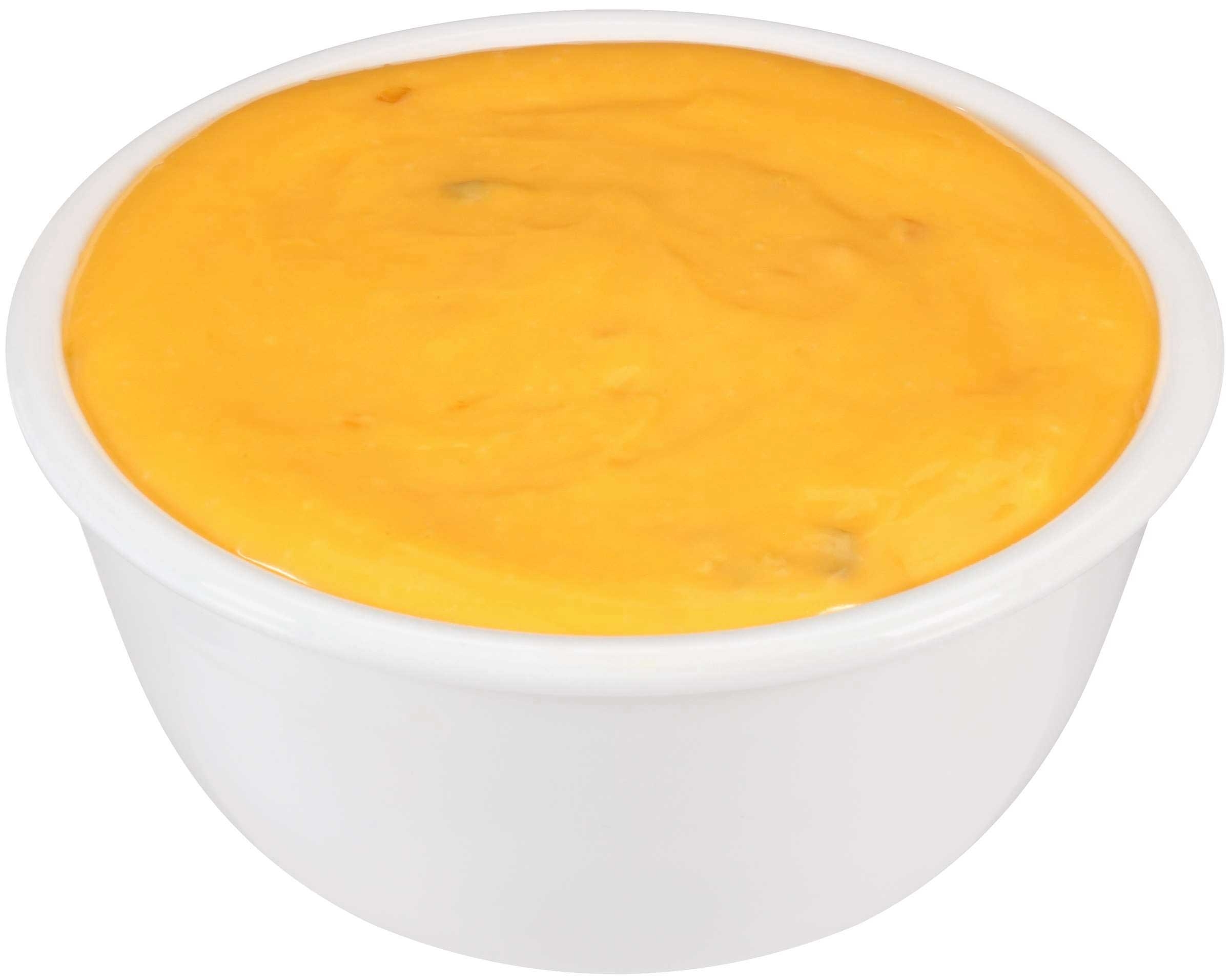 Land O Lakes Queso Bravo Queso Cheese Dip, 5 Pound -- 6 per case.