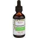 Quantum Health SuperLysine Plus Liquid Immune Support Liquid, 2 Ounce