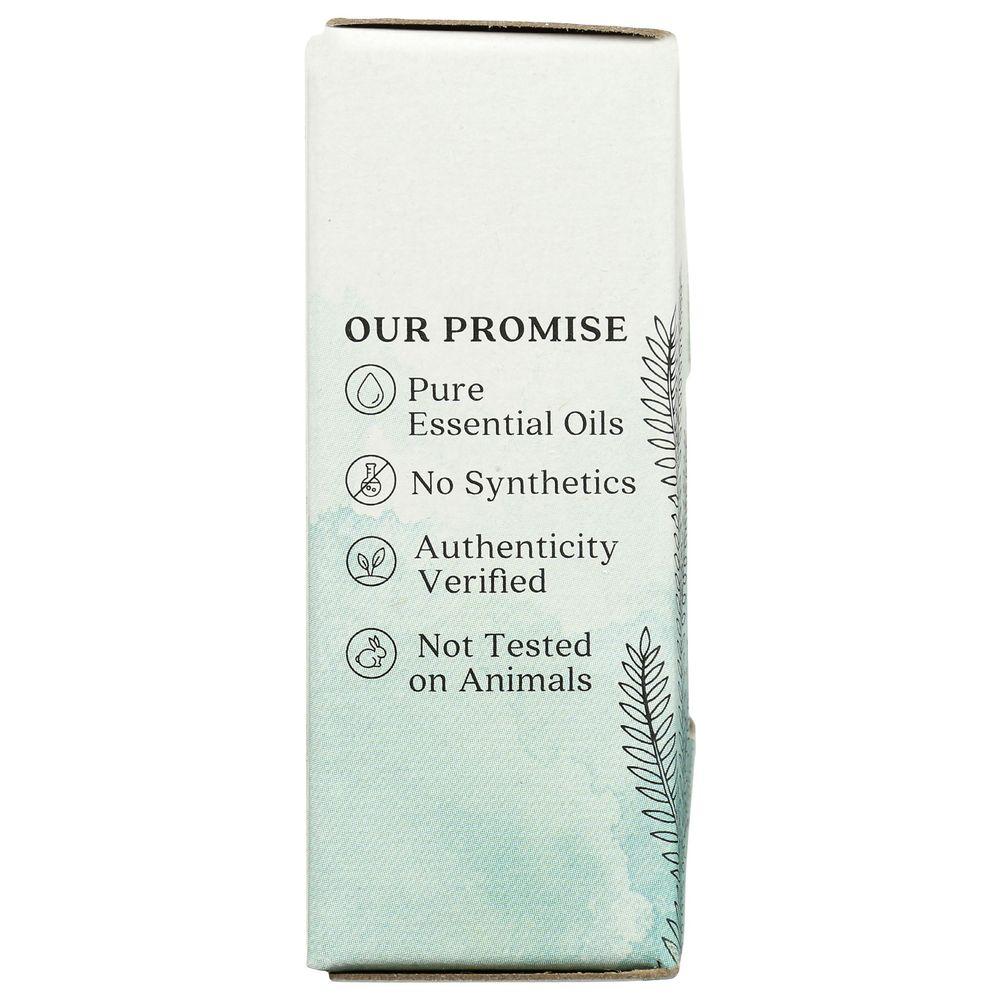 Product gallery 3299669