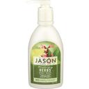 Jason Moisturizing Herbs Body Wash, 30 Fluid Ounce
