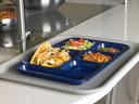 Left hand Polypropylene Tray Blueberry School Tray, 10X14 -- 24 Count