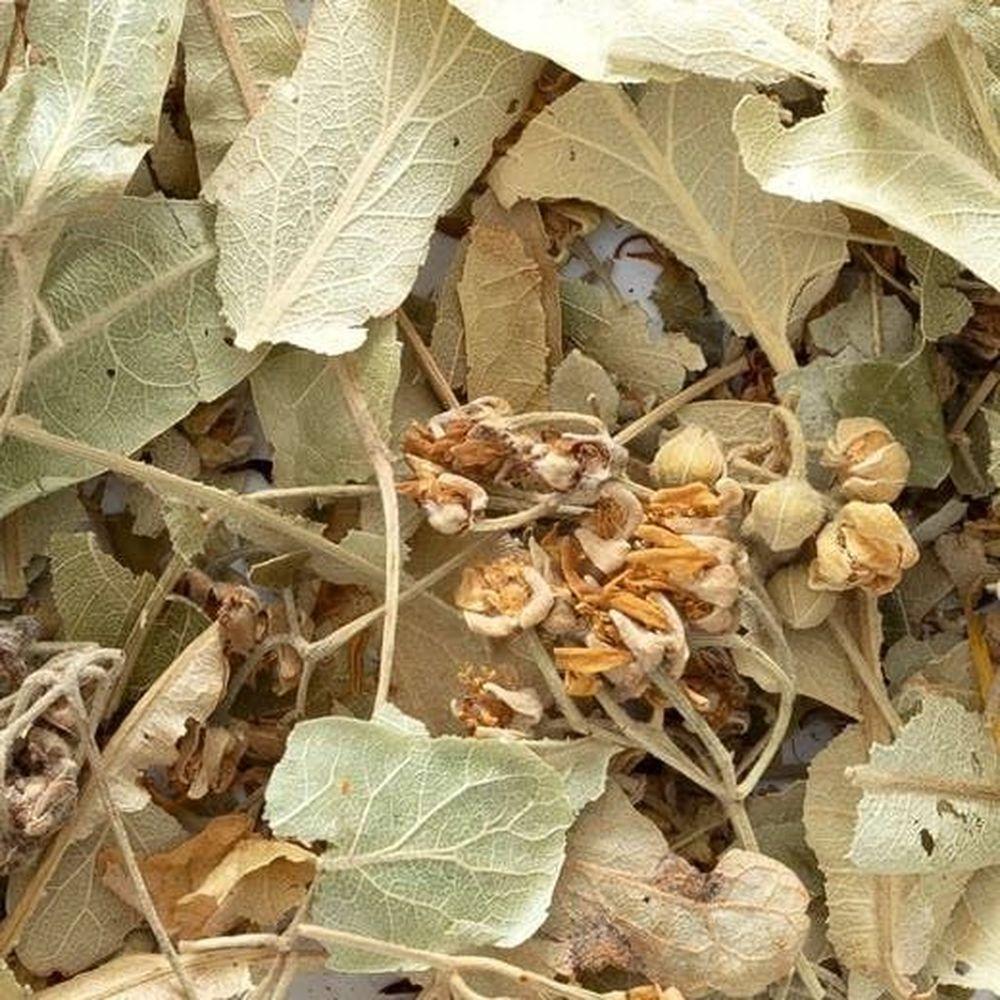 Product gallery 3871589