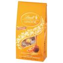 Lindt Lindor Caramel Milk Chocolate Candy Truffles, 8.5 Ounce Bag -- 6 per case