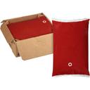 Heinz Ketchup Disposable Pack, 1.5 Gallon -- 2 per case