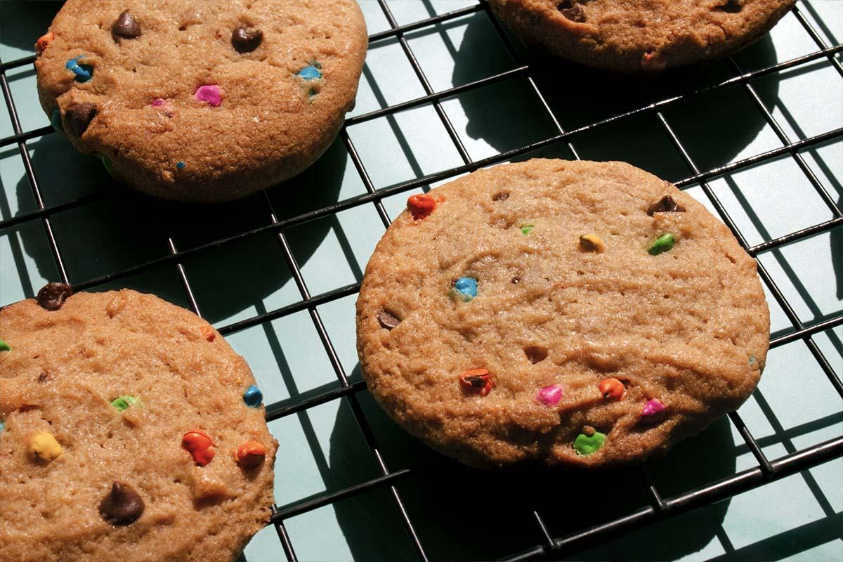 Product gallery 3337612