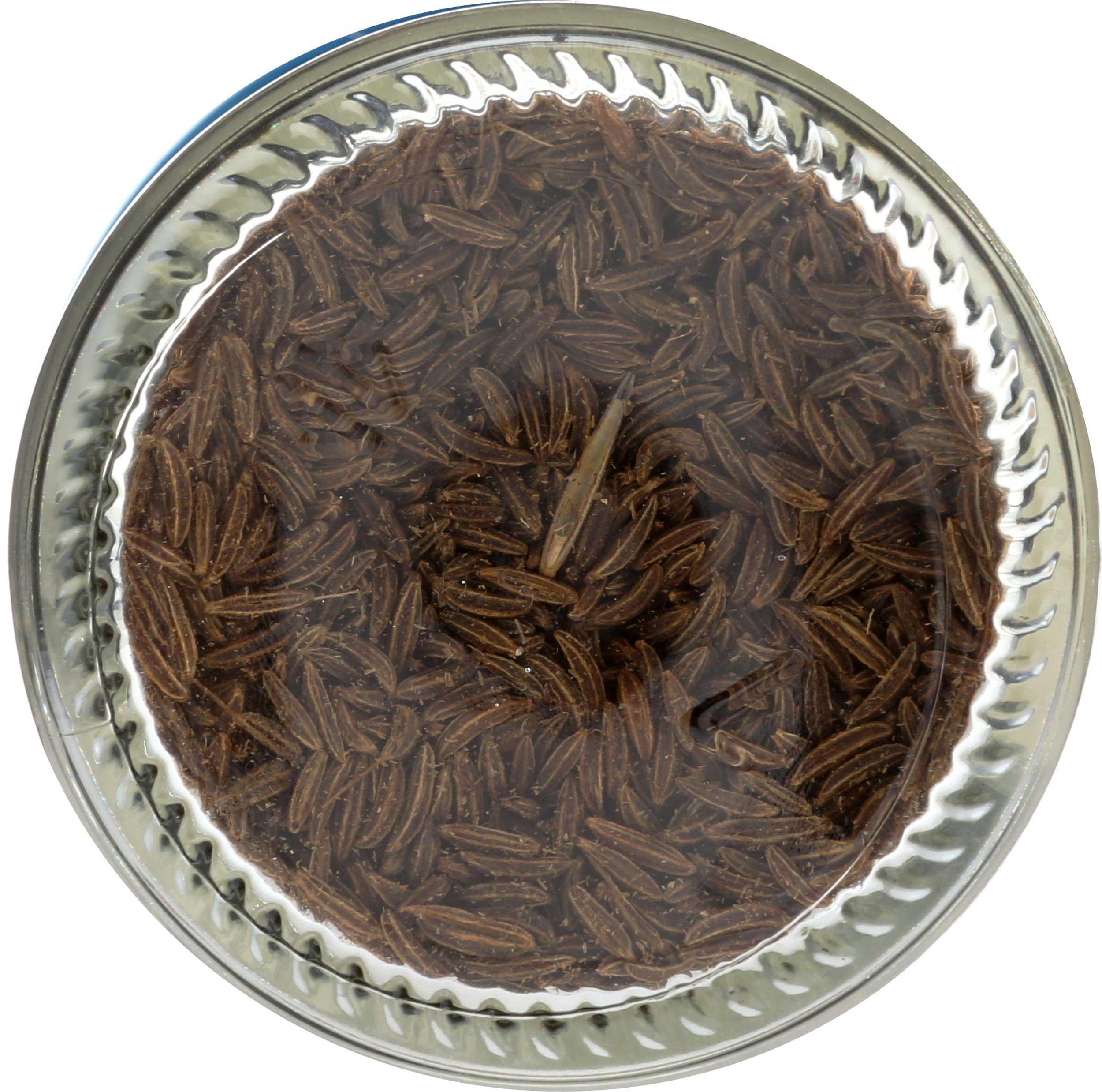 Product gallery 1873833